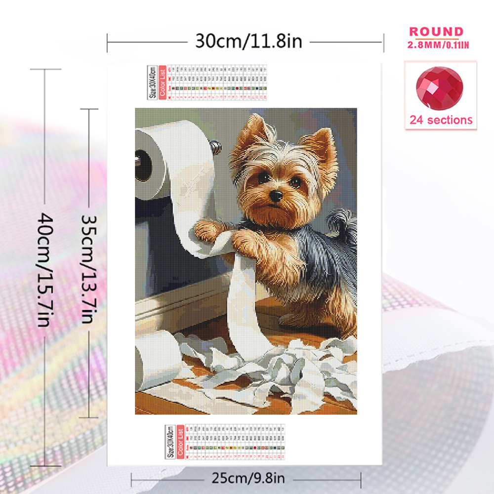 1pc frameless  Diamond Art Pai - огляд і ціна Embroidery Room